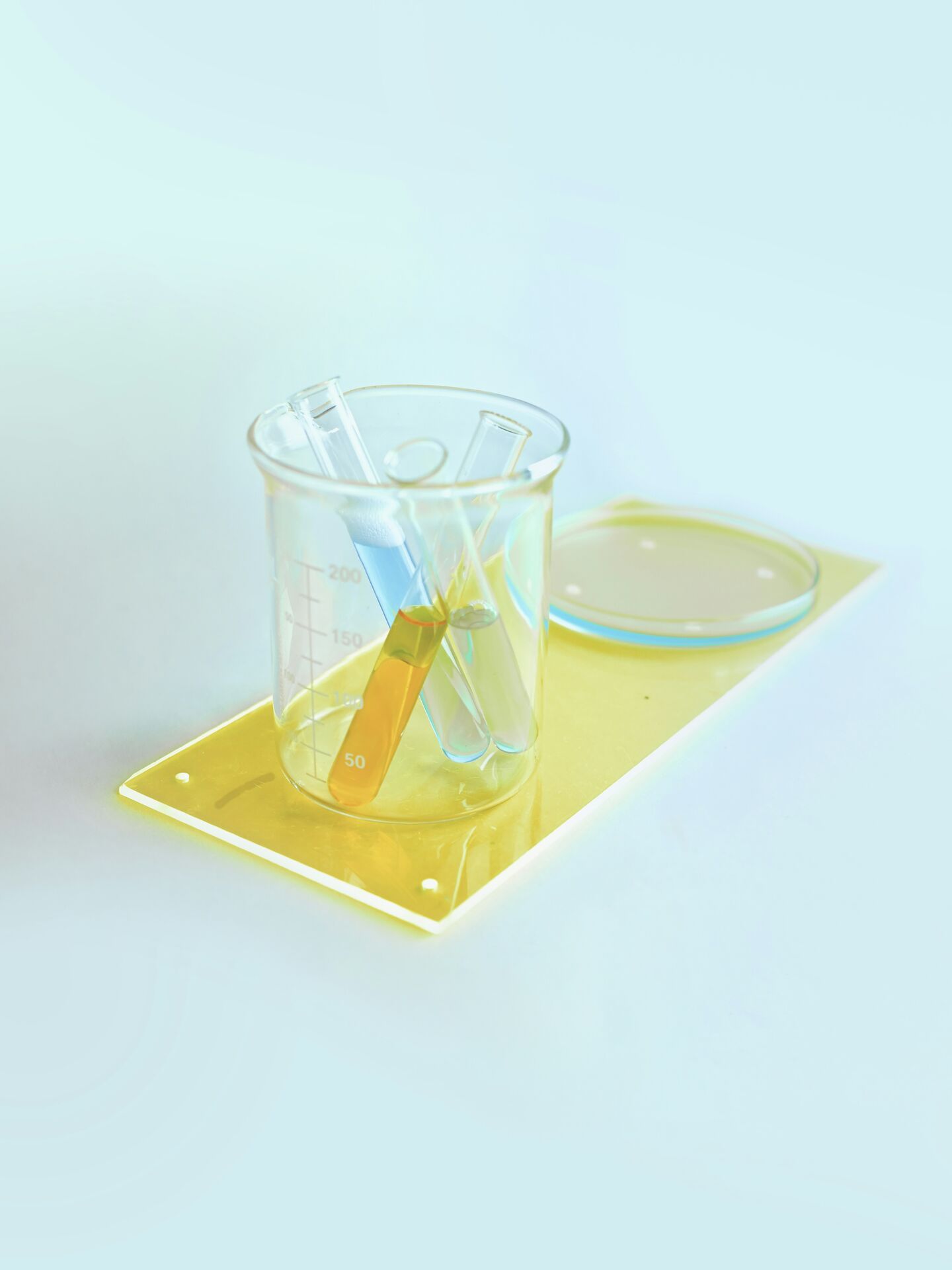 Messbecher mit mehreren Reagenzgläsern in unterschiedlichen Farben, daneben eine Petrischale auf heller Fläche.