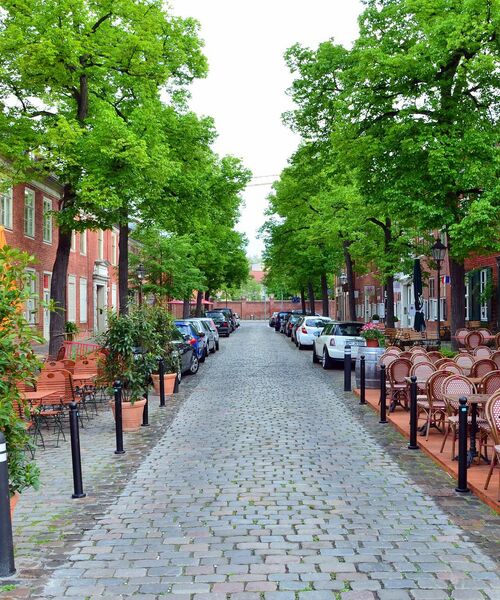 Gepflasterte Straße mit parkenden Autos, Außengastronomie und hohen grünen Bäumen in einer ruhigen Stadtumgebung.