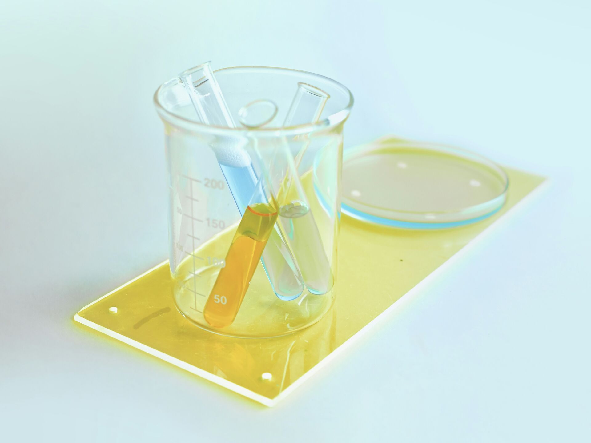 Messbecher mit mehreren Reagenzgläsern in unterschiedlichen Farben, daneben eine Petrischale auf heller Fläche.