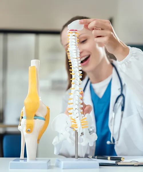 Zwei Personen in weißen Kitteln betrachten aufmerksam ein anatomisches Modell eines menschlichen Herzens in einem transparenten Behälter.